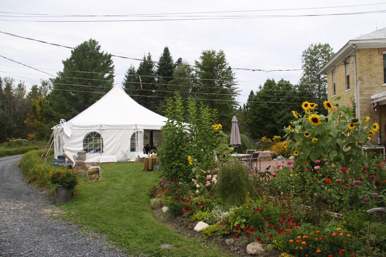 Auberge Taylor Manor Saint-Georges Extérieur photo