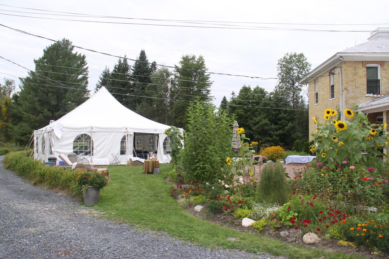 Hotel Auberge Taylor Manor à Saint-Georges Extérieur photo