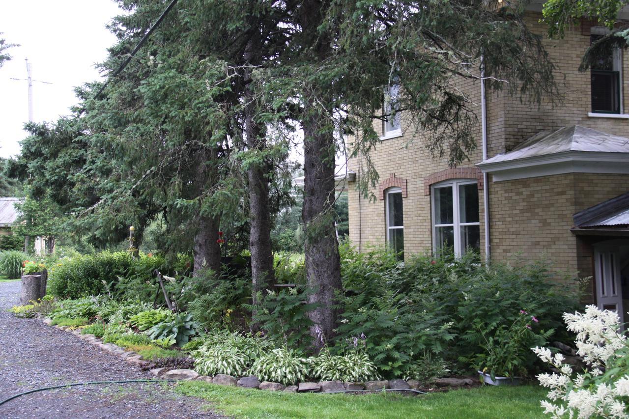 Hotel Auberge Taylor Manor à Saint-Georges Extérieur photo